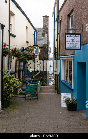 Attraktives Speisekarten in einer schmalen Gasse führt hinunter zum Hafen außerhalb das angeblich älteste Gebäude in Tenby angezeigt Stockfoto