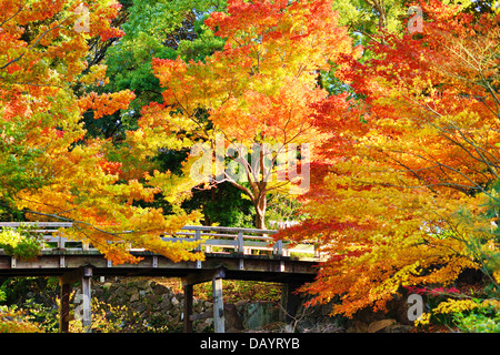 Herbstlaub am in Nagoya, Japan. Stockfoto