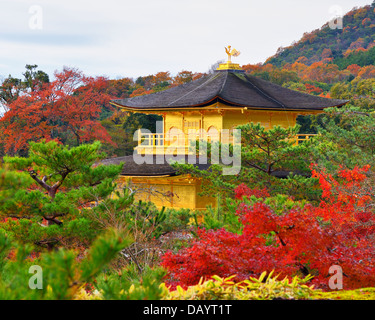 Tempel des goldenen Pavillons auf Kyoto, Japan. 28 Nov. Stockfoto