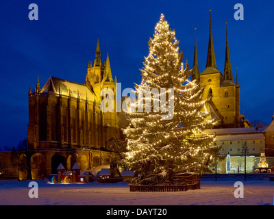 Domplatz mit Weihnachtsbaum, St. Marien Dom und St. Severus Kirche, Erfurt, Thüringen, Deutschland Stockfoto