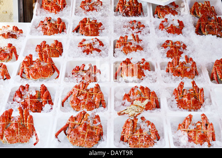 Krabben in Eis zum Verkauf verpackt an einem Morgen Fischmarkt in Hakodate, Japan. Stockfoto