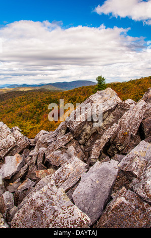 Herbstliche Aussicht auf den Blue Ridge Mountains vom Boulder bedeckten Gipfel Schwarzfels im Shenandoah-Nationalpark, VA. Stockfoto