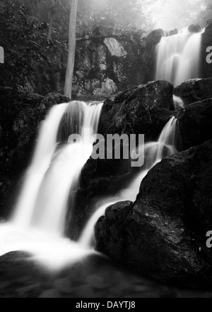 Schwarz / weiß Bild des oberen Doyle River Falls an einem Frühlingstag im Shenandoah-Nationalpark, Virginia. Stockfoto