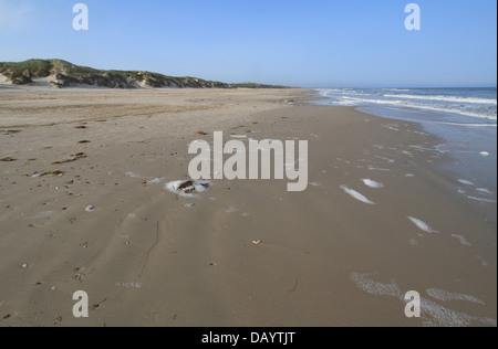 Breiten, sandigen Strand von Blokhus, Dänemark Stockfoto