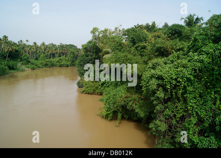 Vamanapuram Wasser Überlauf-Hochwasser in Kerala Monsun Saison Indien Stockfoto