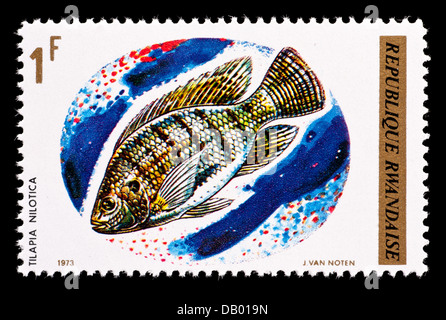 Briefmarke aus Ruanda, die Darstellung einer Nil Tilapia oder Mango Fisch (Oreochromis Niloticus) Stockfoto