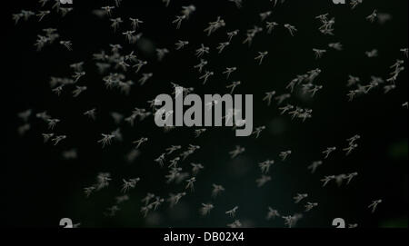 Eine Wolke fliegen schwebt über einem kleinen Busch am Abend in der Dämmerung in Hannover, Deutschland, 21. Juli 2013. Foto: JOCHEN LUEBKE Stockfoto