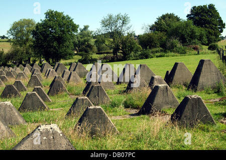 Die so genannten Drachenzähne der Siegfried-Linie im Bild zwischen Aachen und Monschau, Deutschland, 8. Juli 2007. Während des zweiten Weltkriegs diente die Drachenzähne der deutschen Wehrmacht als Panzersperren, die Siegfried-Linie zu verteidigen. Foto: Horst Ossinger Stockfoto