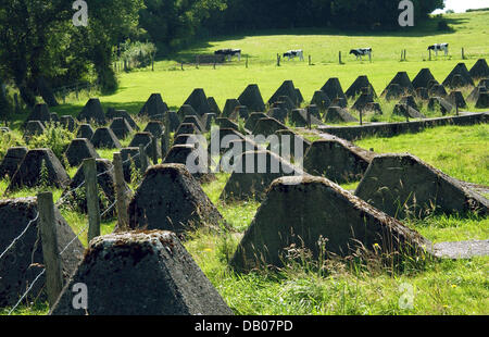 Die so genannten Drachenzähne der Siegfried-Linie im Bild zwischen Aachen und Monschau, Deutschland, 8. Juli 2007. Während des zweiten Weltkriegs diente die Drachenzähne der deutschen Wehrmacht als Panzersperren, die Siegfried-Linie zu verteidigen. Foto: Horst Ossinger Stockfoto