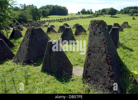 Die so genannten Drachenzähne der Siegfried-Linie im Bild zwischen Aachen und Monschau, Deutschland, 8. Juli 2007. Während des zweiten Weltkriegs diente die Drachenzähne der deutschen Wehrmacht als Panzersperren, die Siegfried-Linie zu verteidigen. Foto: Horst Ossinger Stockfoto