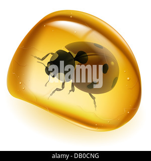 Amber und Käfer. Abbildung auf weißem Hintergrund für design Stockfoto
