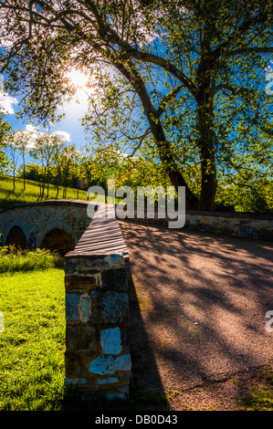 Die Sonne scheint durch Bäume über Burnside Bridge, am Antietam National Battlefield, Maryland. Stockfoto