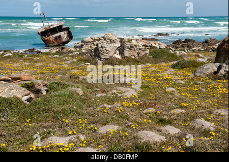 Schiffswrack, Kap Agulhas, Agulhas Nationalpark, Südafrika Stockfoto