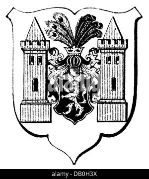 Heraldik, Wappen, Deutschland, Stadtwappen, Plauen, Holzstich, 1893, Zusatz-Rechte-Clearenzen-nicht vorhanden Stockfoto