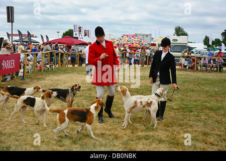 Alcester, Warwickshire. 21. Juli 2013. Hunde im Ring bei der CLA Game Fair, Ragley Hall, Alcester, Warwickshire, 19,20, 21. Juli. Foto von John Robertson, 2013. Bildnachweis: John Robertson/Alamy Live-Nachrichten Stockfoto