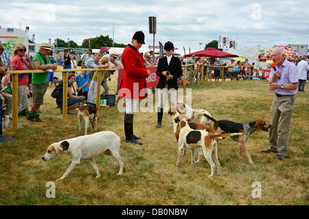 Alcester, Warwickshire. 21. Juli 2013. Hunde im Ring bei der CLA Game Fair, Ragley Hall, Alcester, Warwickshire, 19,20, 21. Juli. Foto von John Robertson, 2013. Bildnachweis: John Robertson/Alamy Live-Nachrichten Stockfoto