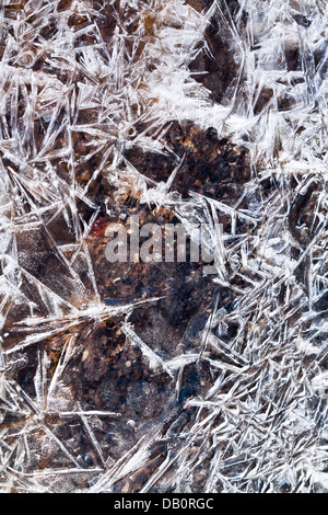 Natureis Kristalle über gefrorenen Bach hautnah Stockfoto