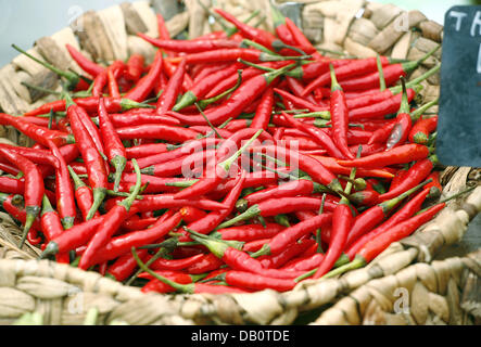 Das Bild zeigt rote Chilischoten auf einem Marktstand in Frankfurt Main, Deutschland, 19. August 2007. Foto: Wolfram Steinberg Stockfoto