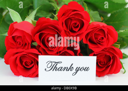 Dankeschönkarte mit roten Rosen Stockfoto