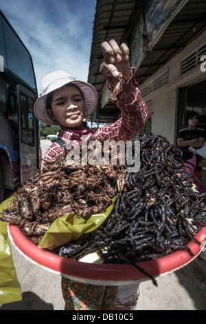 Essbares Insekt. Weibliche Street-Food-Verkäuferin, die Insekten für Nahrung verkauft, einschließlich großer schwarzer Spinnen und Heuschrecken. Kambodscha, Südostasien Stockfoto