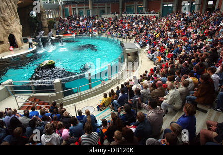 Das Publikum folgt eine Delphin-Performance im Delfinarium des Zoo in Duisburg, Deutschland, 1. September 2007. Foto: Horst Ossinger Stockfoto