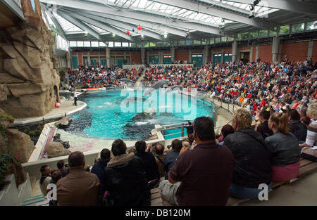 Das Publikum folgt eine Delphin-Performance im Delfinarium des Zoo in Duisburg, Deutschland, 1. September 2007. Foto: Horst Ossinger Stockfoto