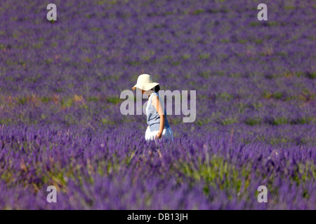 Frau im Lavendelfeld, Provance Stockfoto