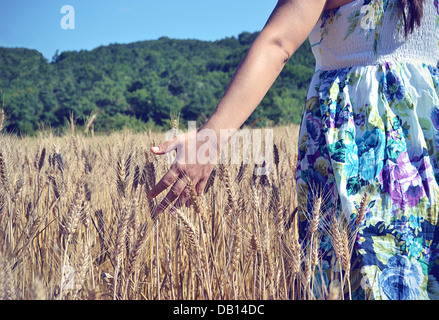 Natur, menschliche Hand, Frauen, Weizen, Feld, Leben, Menschen, Umwelt, Lebensmittel, Pflanzen, Schutz, Liebe, Landwirtschaft, Sonnenuntergang Stockfoto