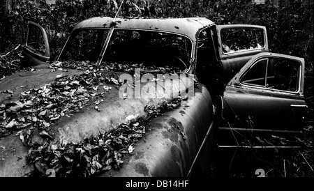 Schwarz / weiß Bild eines rostigen, verlassene Autos bedeckt Laub im Wald gefunden. Stockfoto