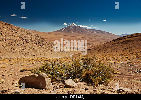 Reserva Nacional de Fauna Andina Eduardo Abaroa, Bolivien, Südamerika Stockfoto