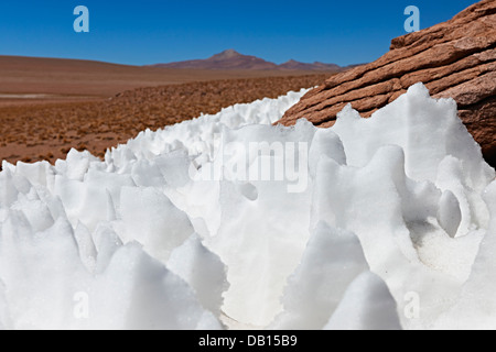 Landschaft mit Schneestrukturen, Penitentes, nieves penitentes, Penitente, Reserva Nacional de Fauna Andina Eduardo Abaroa, Bolivien, Südamerika Stockfoto