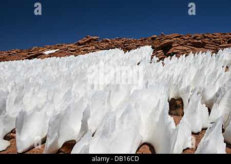 Landschaft mit Schneestrukturen, Penitentes, nieves penitentes, Penitente, Reserva Nacional de Fauna Andina Eduardo Abaroa, Bolivien, Südamerika Stockfoto