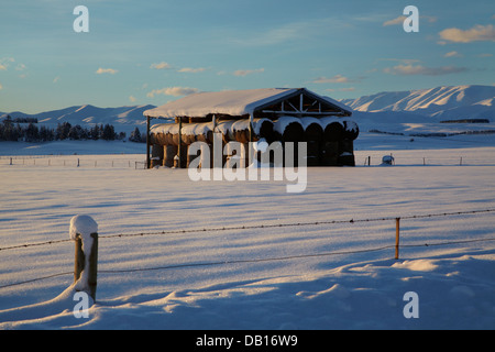 Scheune und Schnee in der Nähe von Oturehua, Maniototo, Central Otago, Südinsel, Neuseeland Stockfoto