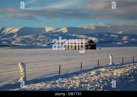 Scheune und Schnee in der Nähe von Oturehua, Maniototo, Central Otago, Südinsel, Neuseeland Stockfoto