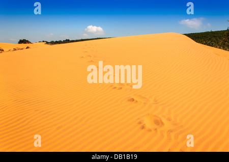 Roten Sanddünen in der Nähe von Mui Ne, Vietnam. Stockfoto