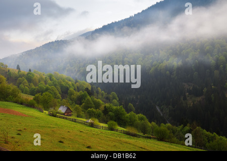 Frühling am Morgen ländlichen Landschaft in den Karpaten. Bewölkten Himmel und Nebel über den Wald. Stockfoto