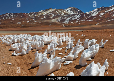 Landschaft mit Schneestrukturen, Penitentes, nieves penitentes, Penitente, Reserva Nacional de Fauna Andina Eduardo Abaroa, Bolivien, Südamerika Stockfoto