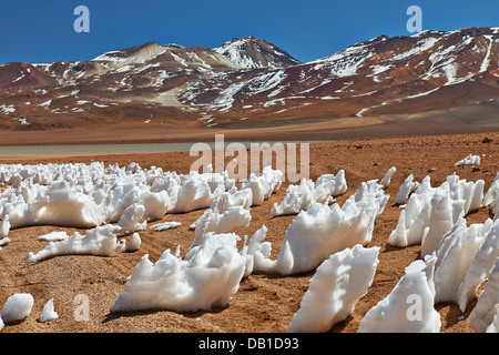 Landschaft mit Schneestrukturen, Penitentes, nieves penitentes, Penitente, Reserva Nacional de Fauna Andina Eduardo Abaroa, Bolivien, Südamerika Stockfoto