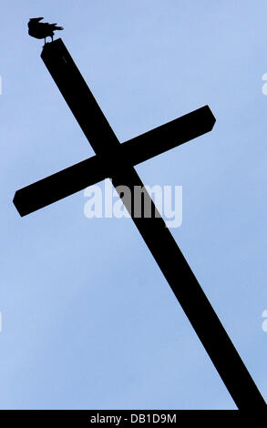 Eine Krähe sitzt auf einem Kreuz in Frankfurt Main, Deutschland, 2007. Foto: Frank Mai Stockfoto