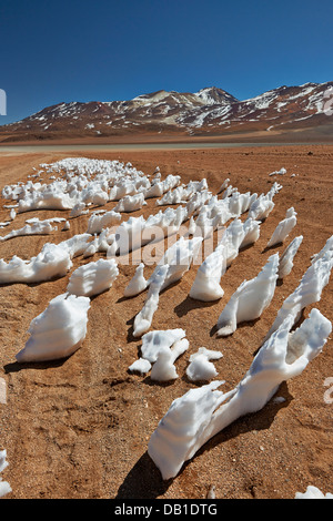 Landschaft mit Schneestrukturen, Penitentes, nieves penitentes, Penitente, Reserva Nacional de Fauna Andina Eduardo Abaroa, Bolivien, Südamerika Stockfoto