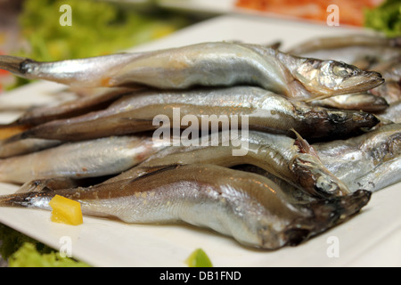 Viele ungekocht Stamm kleine Fische auf weißen Teller Stockfoto