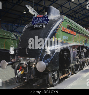 A4 Pacific 4-6-2 Dampflok Union of South Africa als Teil der großen Versammlung im National Railway Museum, York Stockfoto