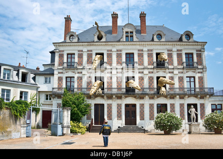 Drachen in der Maison De La Magie, Blois - Val de Loire, Frankreich Stockfoto