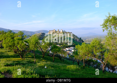 Die maurische Burg auf einem Hügel über der Stadt Carcabuey, Sierras Subbeticas, Andalusien. Spanien Stockfoto