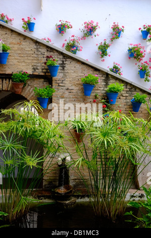 Blumen schmücken die Wände und die Balkone im jüdischen Viertel von Córdoba, Andalusien, Spanien Stockfoto