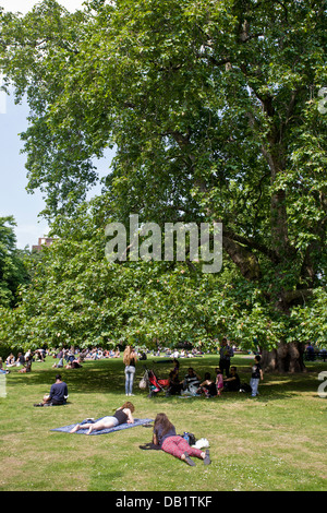 Platane und Menschen entspannen. Brunswick Square, Bloomsbury, Camden, London, England Stockfoto