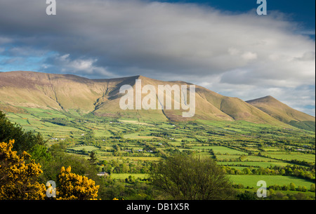 Blick auf den Gletschern geformt Galty Mountains aus Lisvarrinane in der Glen of Aherlow, County Tipperary, Irland Stockfoto