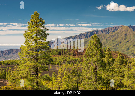 Blick nordwärts von Llano del Jable über die junge Vulkanlandschaft nach Montana de Enrique, Pico Bejenado und Caldera de Taburiente, La Palma Stockfoto