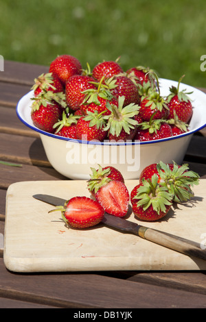 Frische Erdbeeren in einer Emaille-Schüssel und auf ein Schneidebrett mit Messer Stockfoto