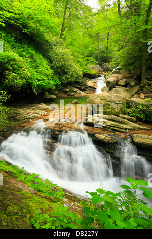 Skinny Dip Wasserfälle, Berge, Sea Trail, Blue Ridge Parkway, North Carolina, USA Stockfoto